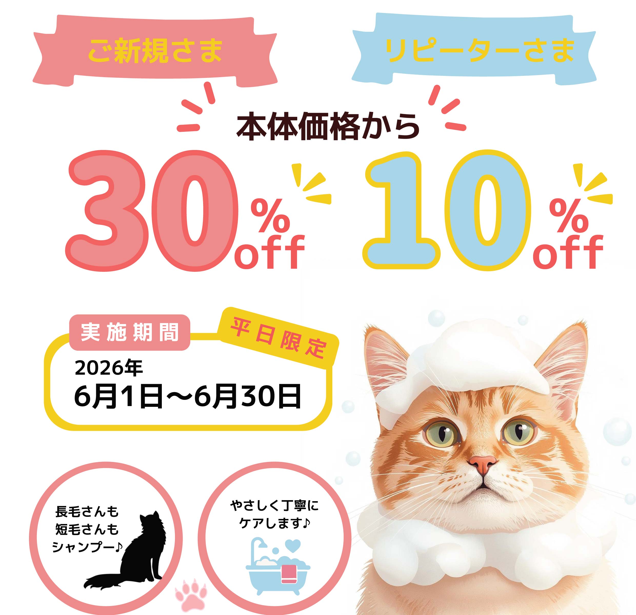 ねこちゃんのグルーミングのご案内