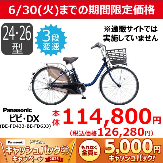 【6月30日(火)までの期間限定価格】