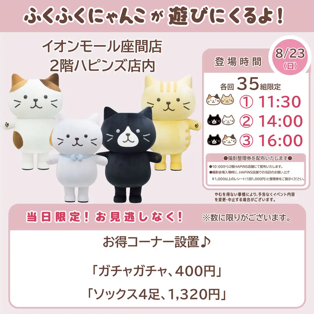 ふくふくにゃんこ撮影会