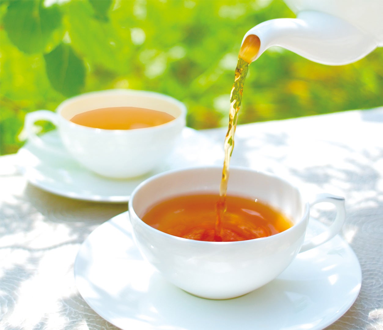［期間中合計限定20個］お茶のお楽しみ袋　本体価格2,314円（税込2,500円）