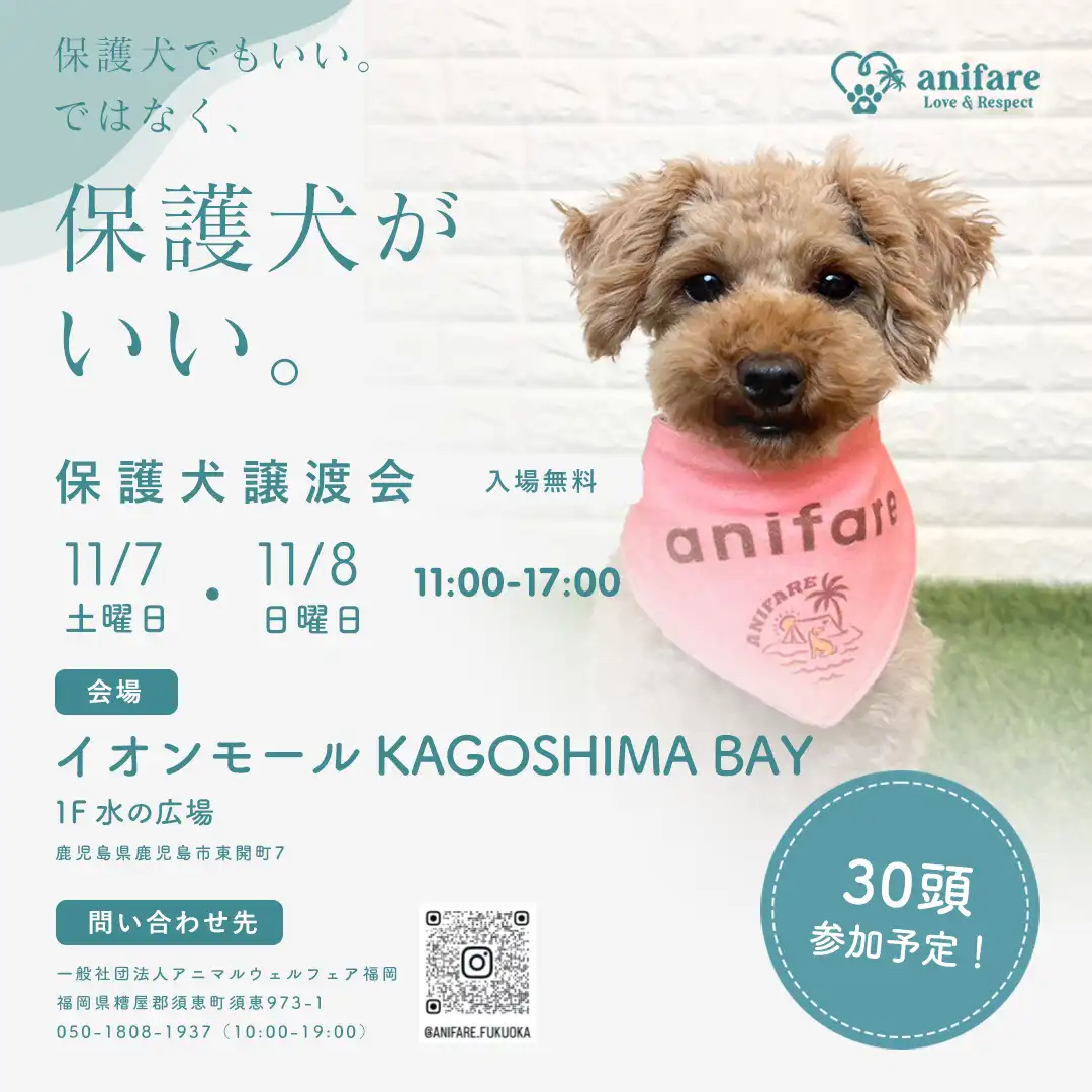 アニフェア　保護犬譲渡会