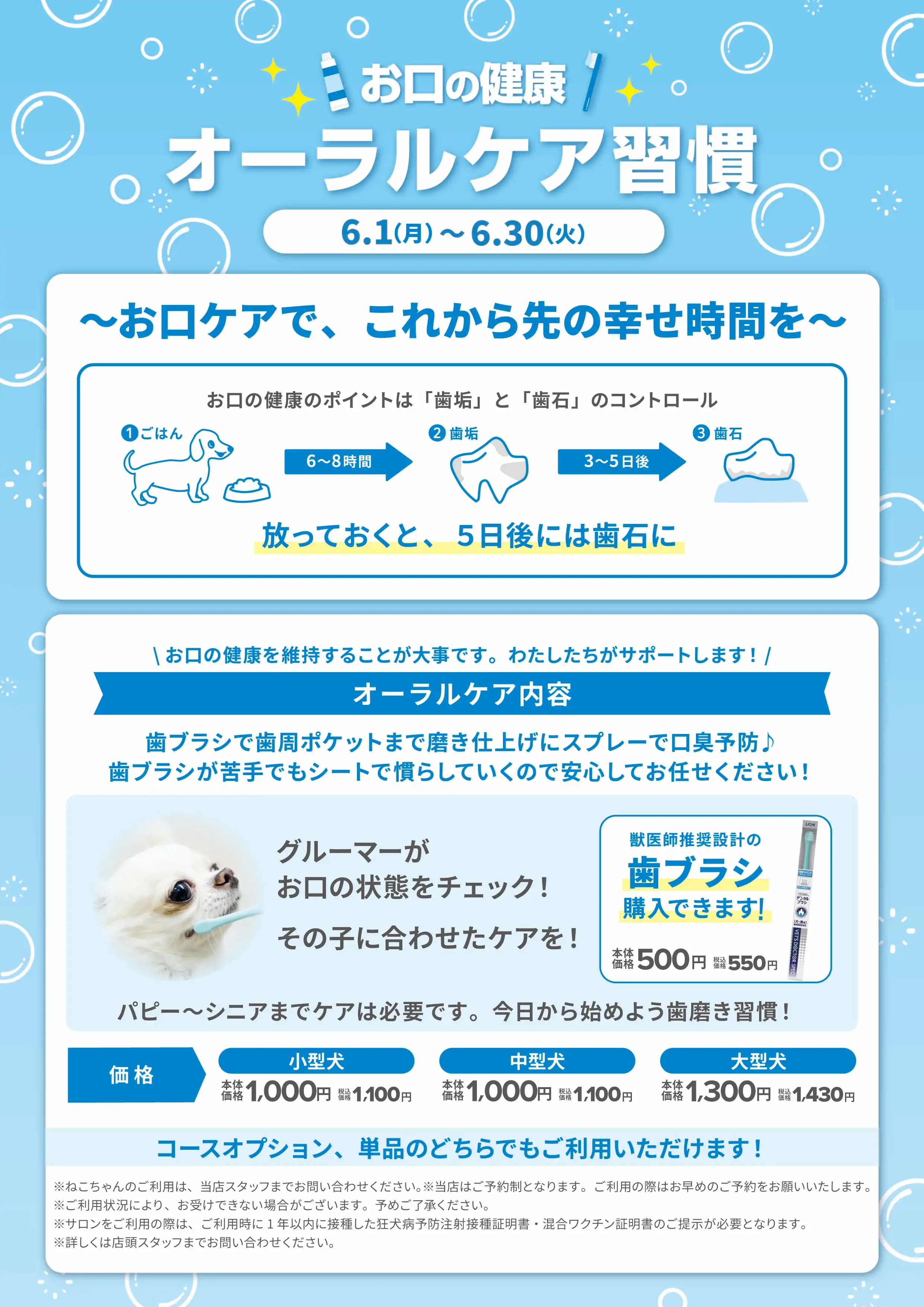 オーラルケア習慣