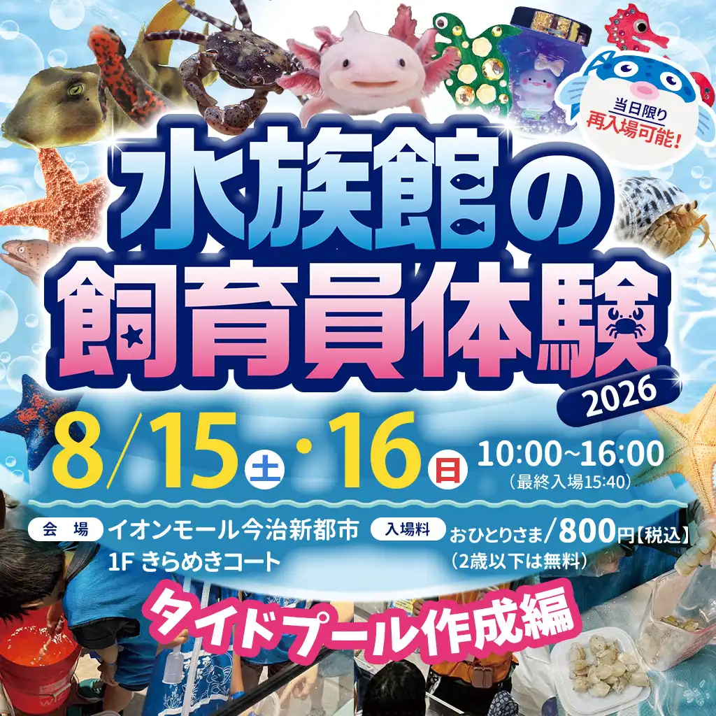 水族館の飼育員体験
