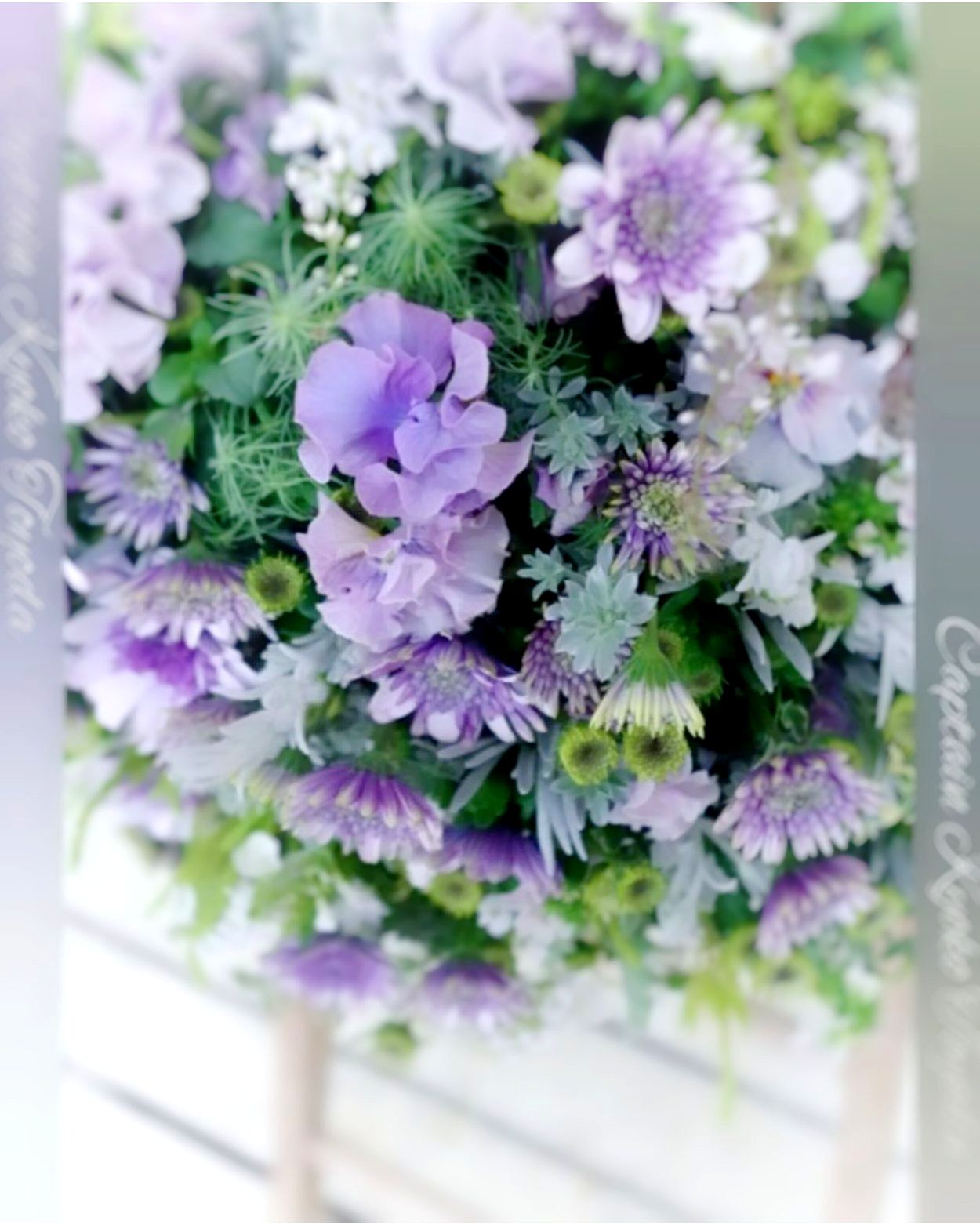 【オンライン講座 】キャプテン豊田の寄せ植えギャザリング