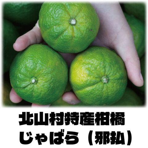 【期間限定】北山村特産柑橘 じゃばら(邪払) 特別販売