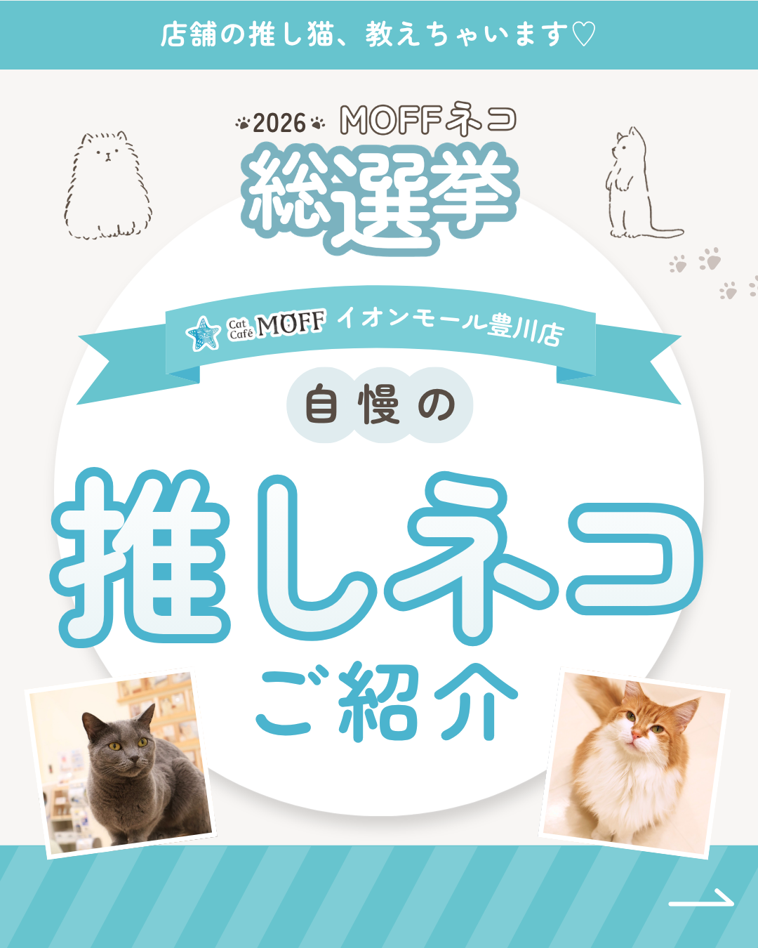 ニュース｜ショップニュース｜ネコ総選挙2026開催！ 当店のネコちゃん