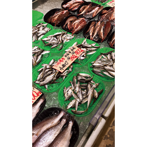 鮮度にこだわった知多の地魚をお値打ちに！