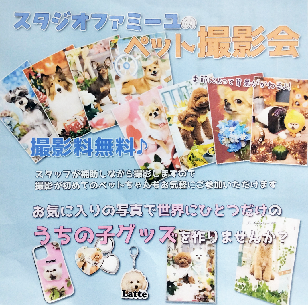 スタジオファミーユのプロカメラマンによるペット撮影会