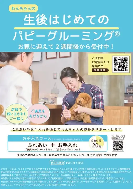 【グルーミング予約受付中!新規さま30%OFF♪】
