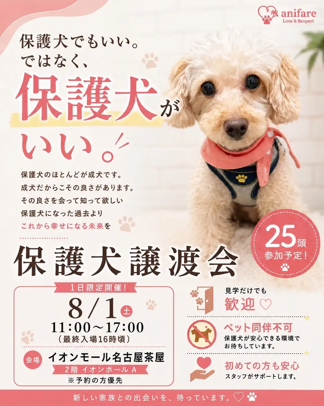 anifare保護犬譲渡会