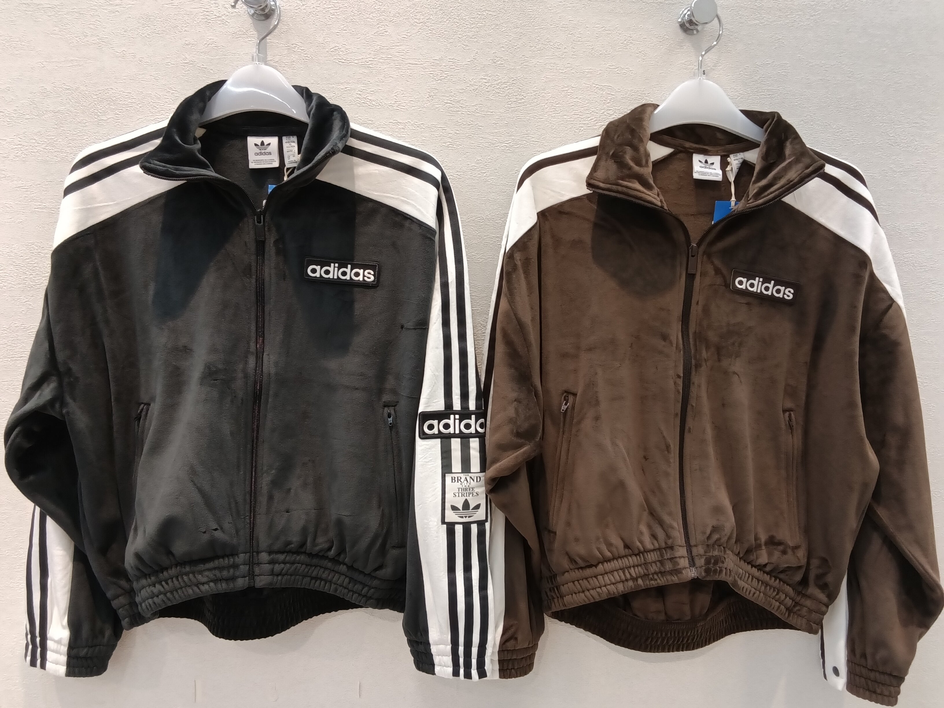 カップ型の大ペロペロ ニュース｜ショップニュース｜アディダスのベロアセットアップ入荷しま