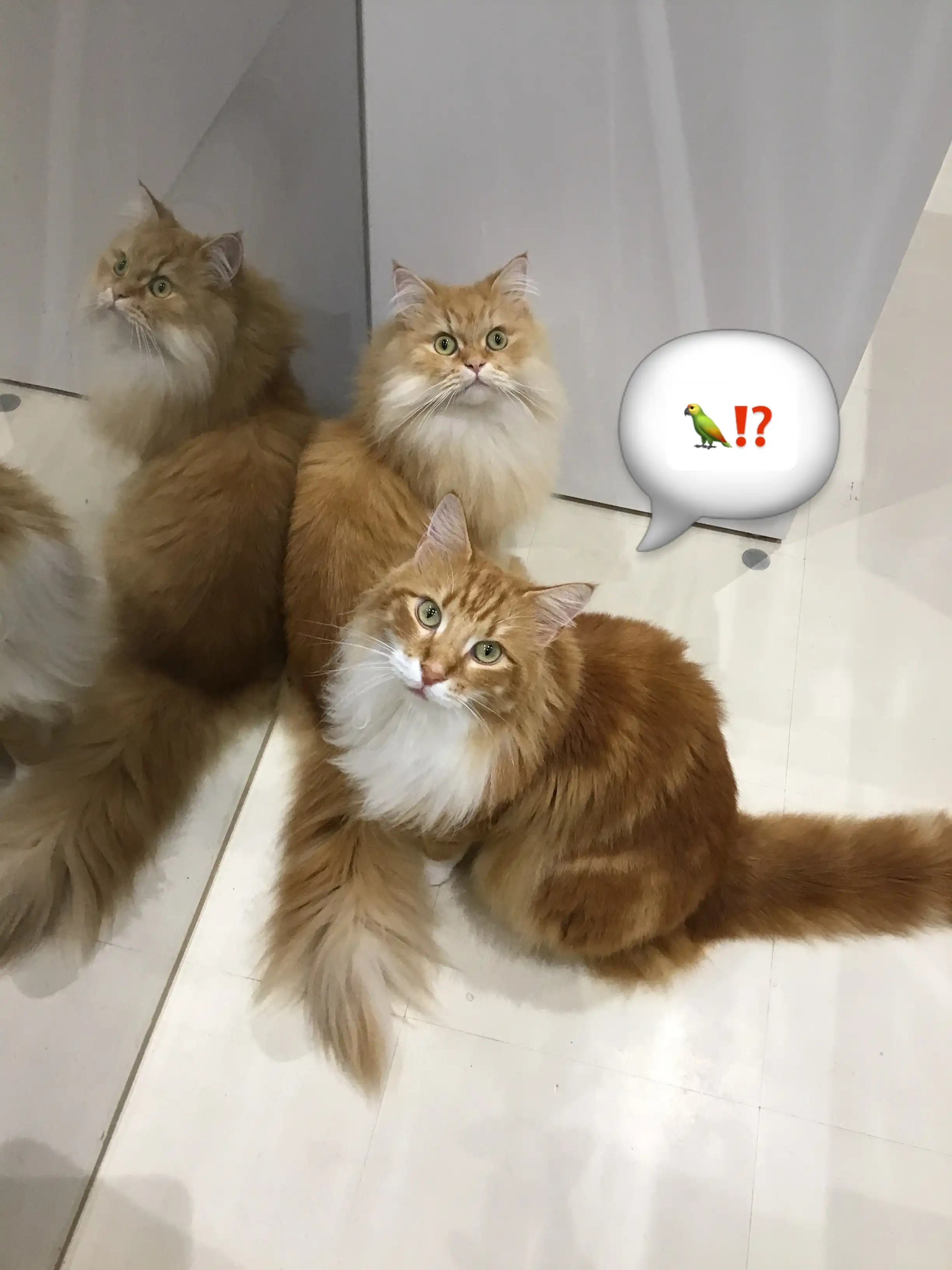 可愛い瞬間を激写！！
