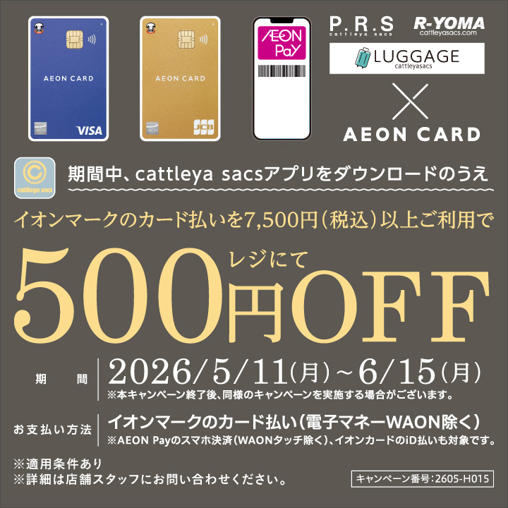 イオンマークのカード支払いでレジにて500円OFF