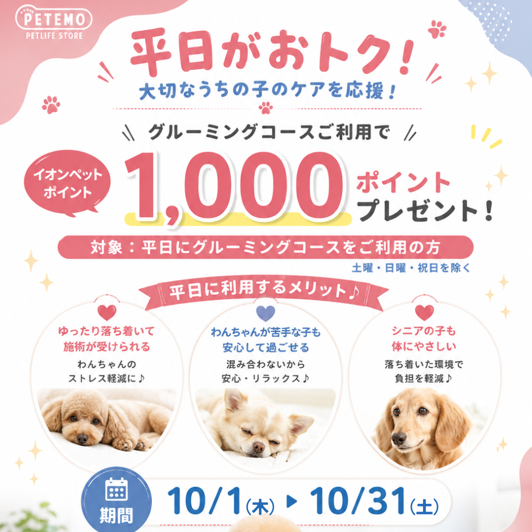 【10/1～10/31】平日がおトク！グルーミングご利用で1,000ポイントプレゼント♪