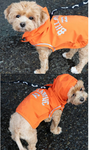 BILLABONG 【DOG WEAR】REFLECTIVE DOG レインコート