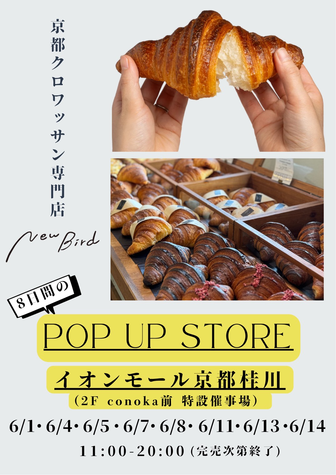 【期間限定】ニューバード　POP UP SHOP