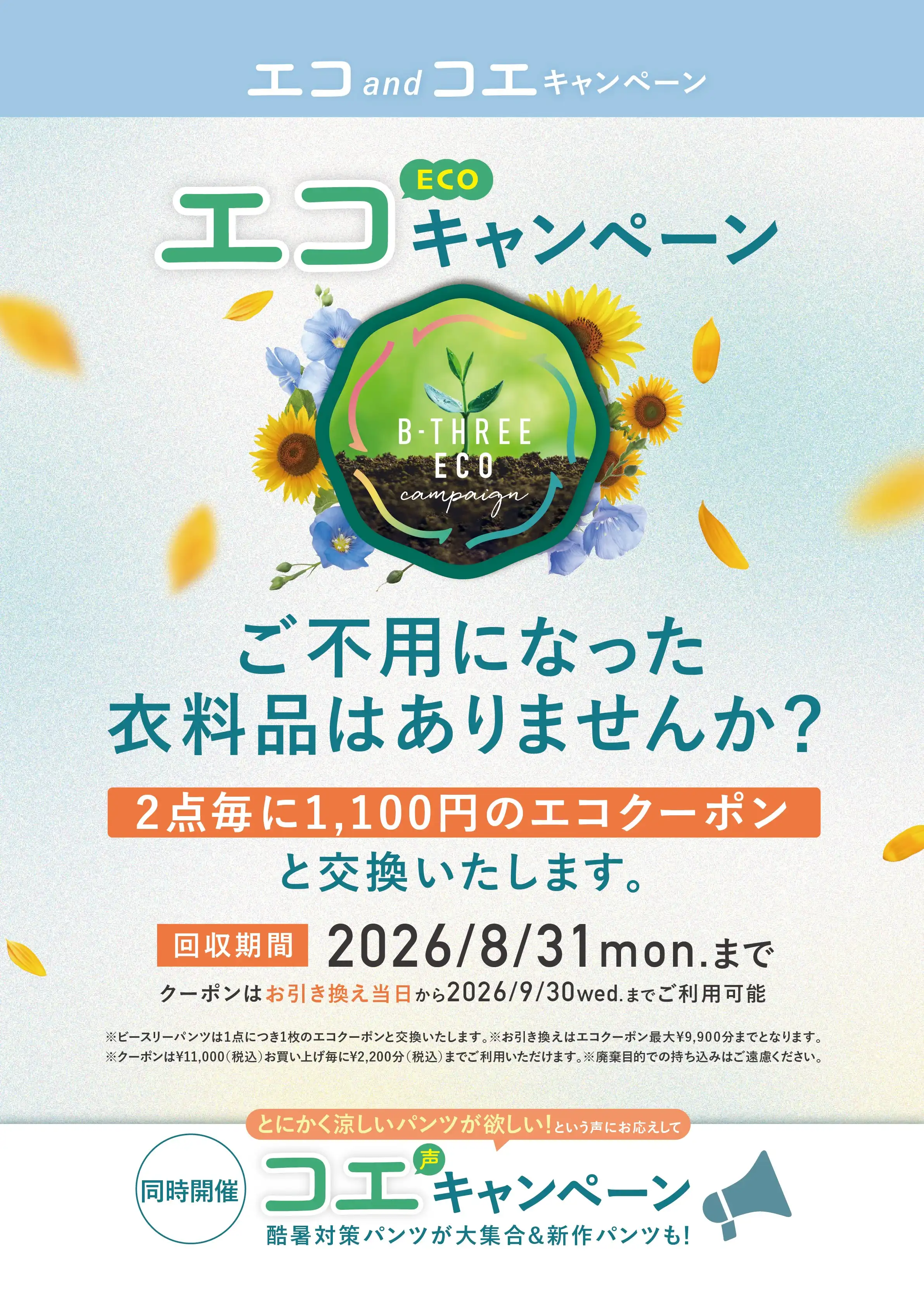 エコキャンペーン