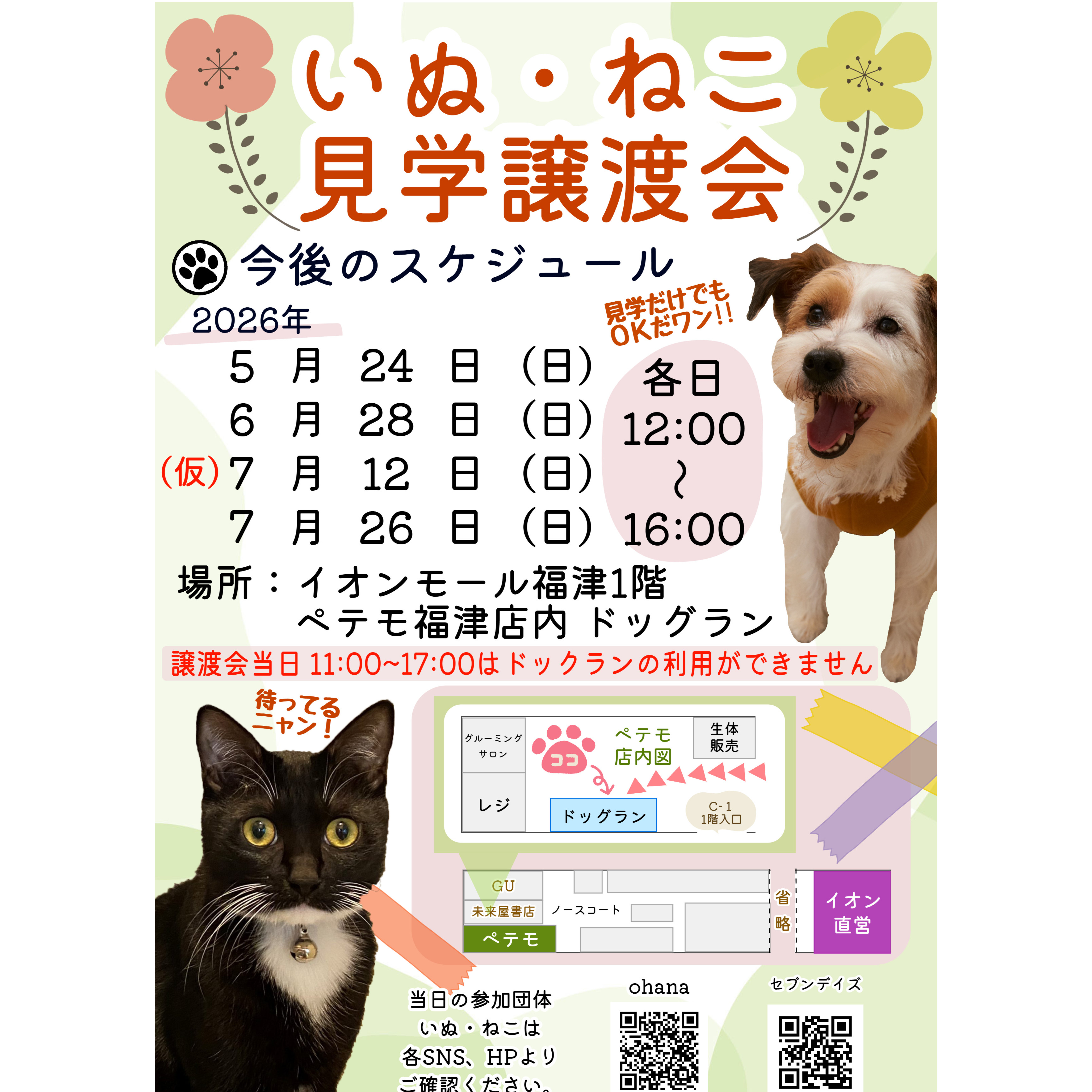 いぬ・ねこ見学譲渡会