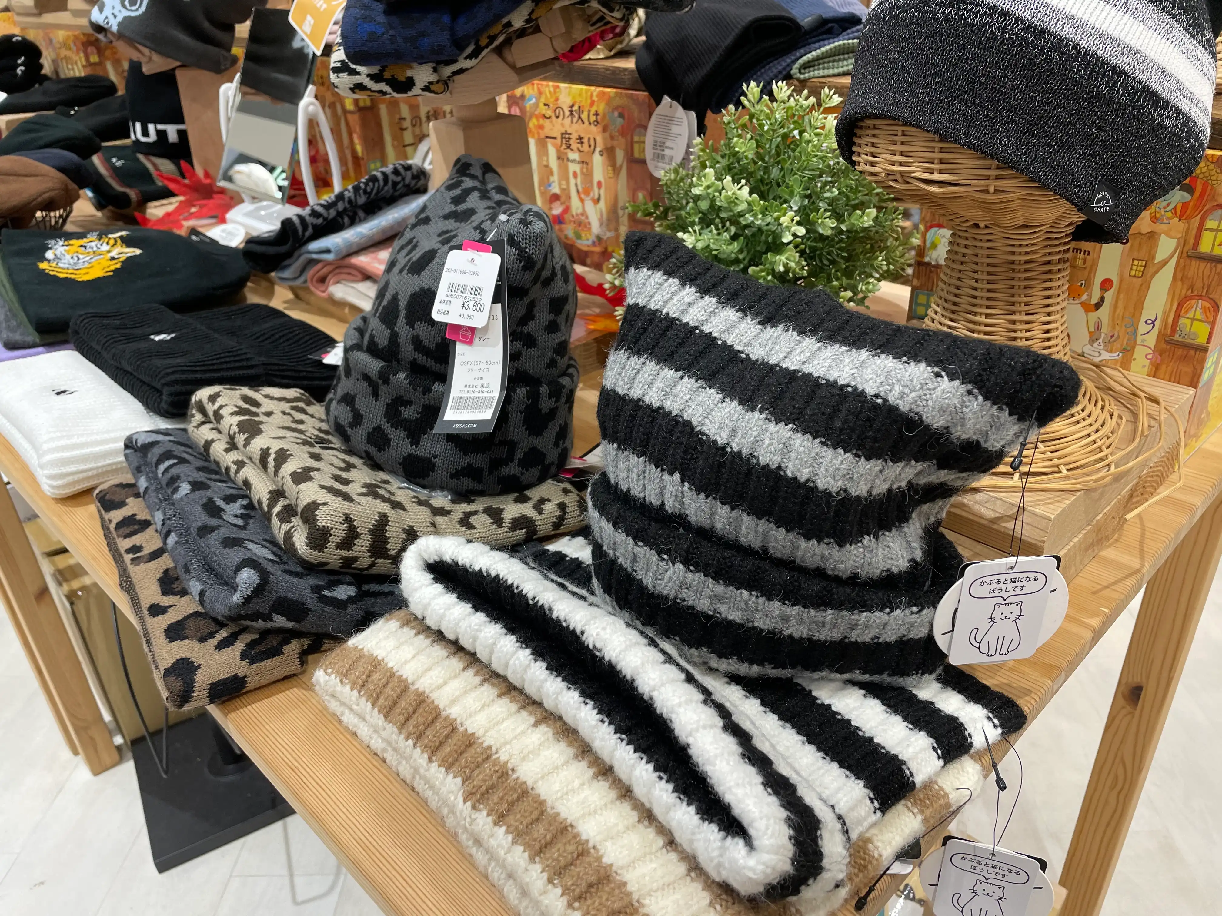 冬物ニット大量入荷のご案内