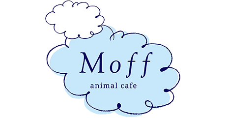 名取_Moff animal cafe（モフ アニマル カフェ）_ロゴ