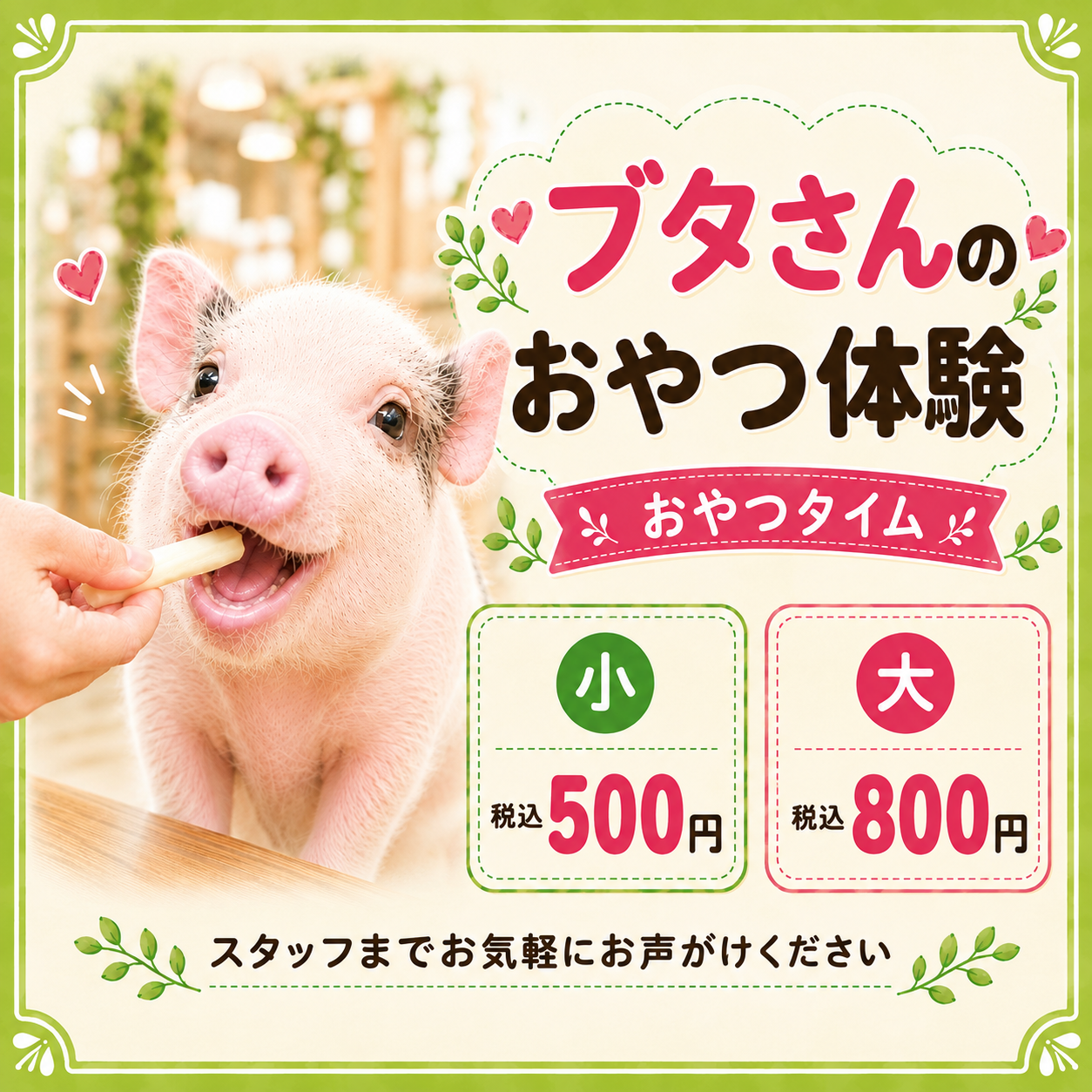 ＼ ブタさんのおやつ体験がスタート！♡ ／