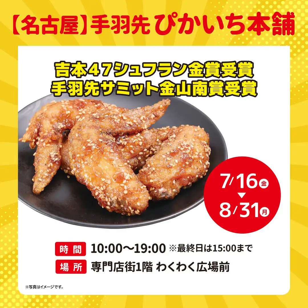 【名古屋】手羽先　ぴかいち本舗