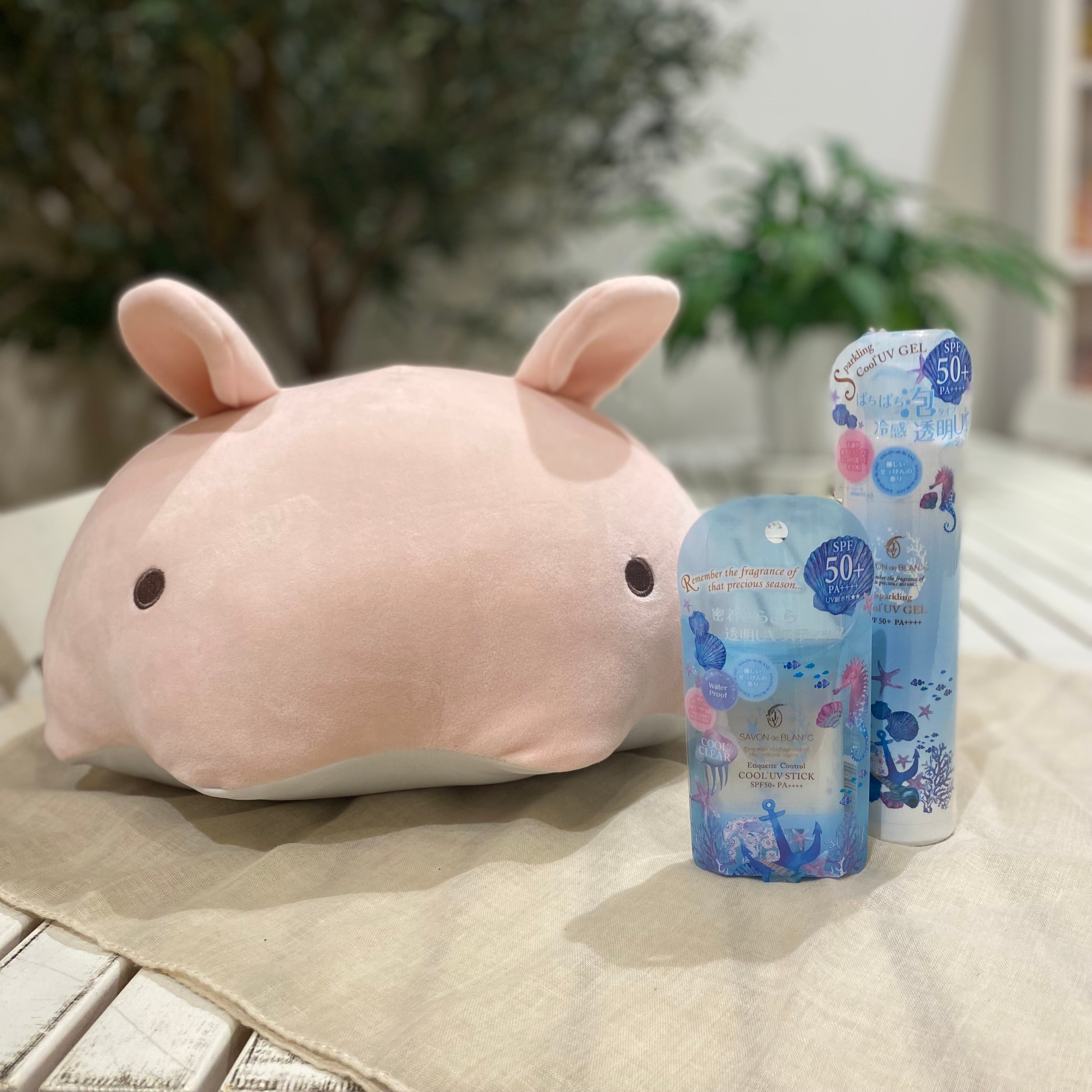 ボンメゾン