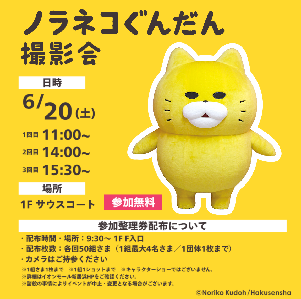 ノラネコぐんだん撮影会
