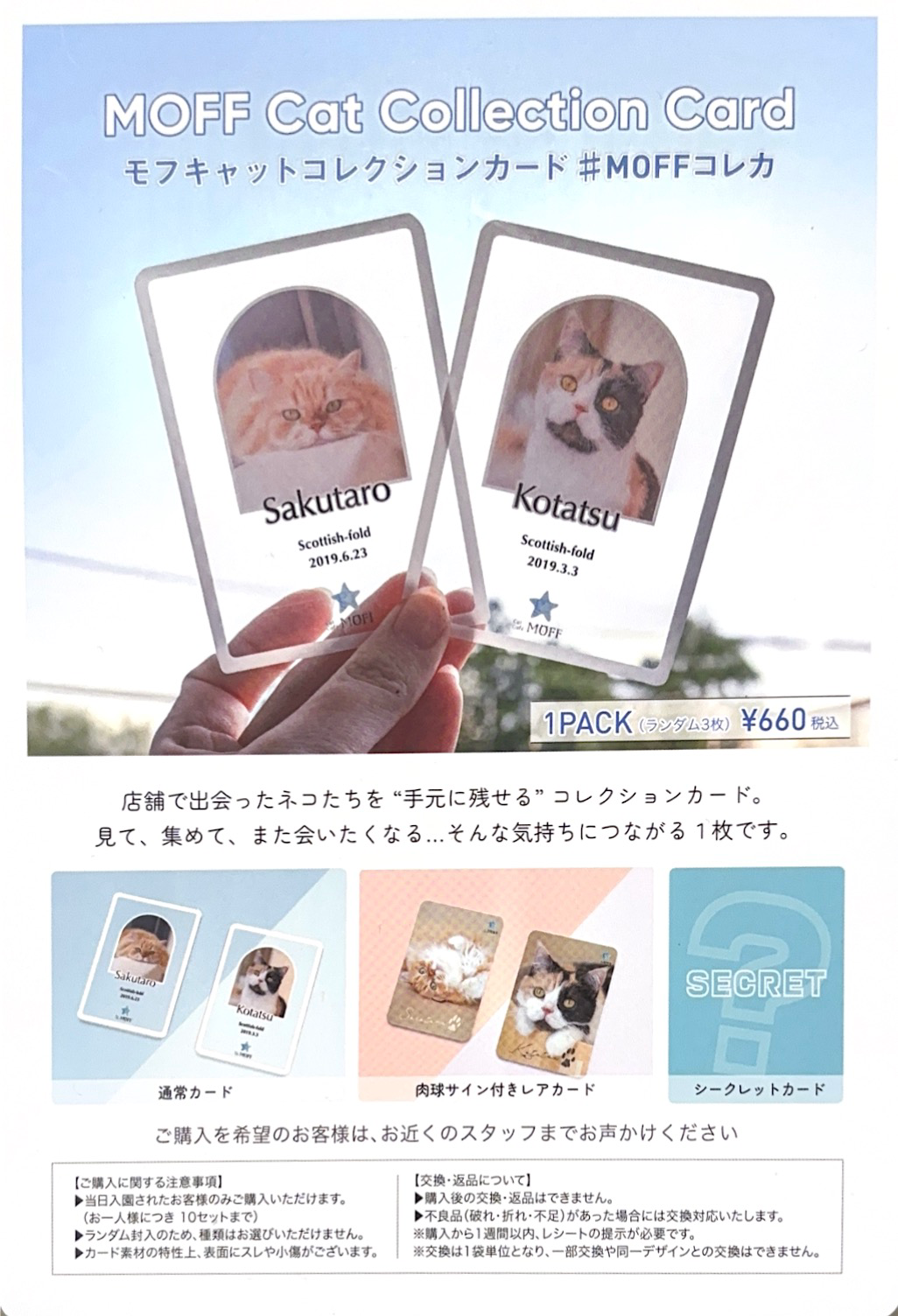 MOFF Cat Collection Card新登場！！
