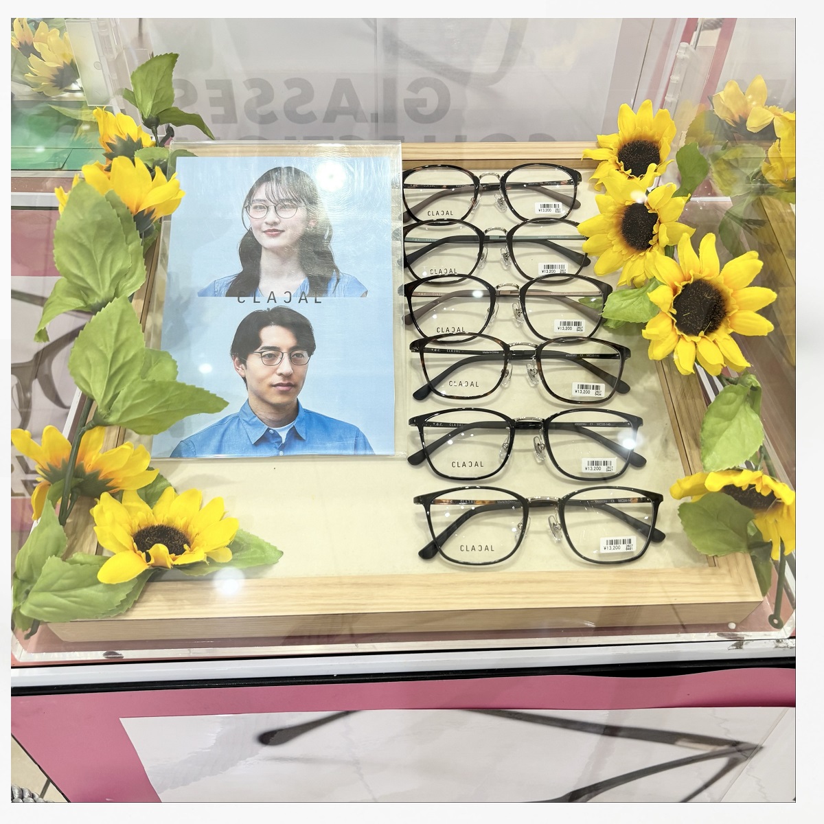 GLASSES COLLECTION