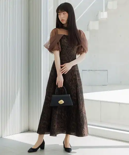 シアーベール×コルセット ジャガードドレス