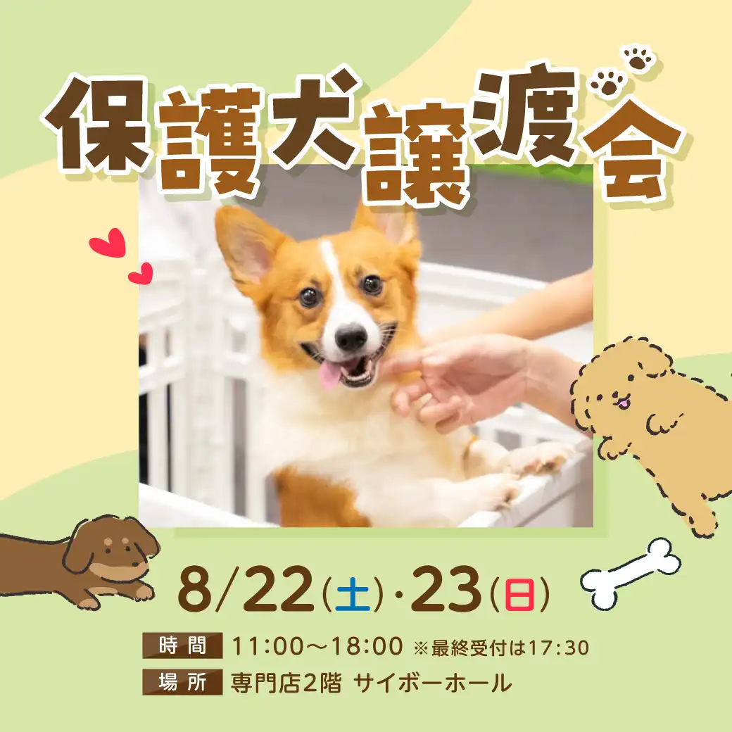 保護犬譲渡会