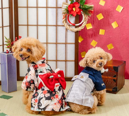 ハレの日に本格和装