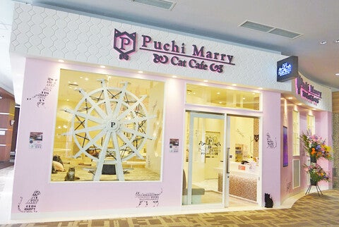 ショップ｜猫カフェ Puchi Marry｜イオンモールつくば