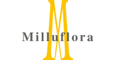 ミルフローラ