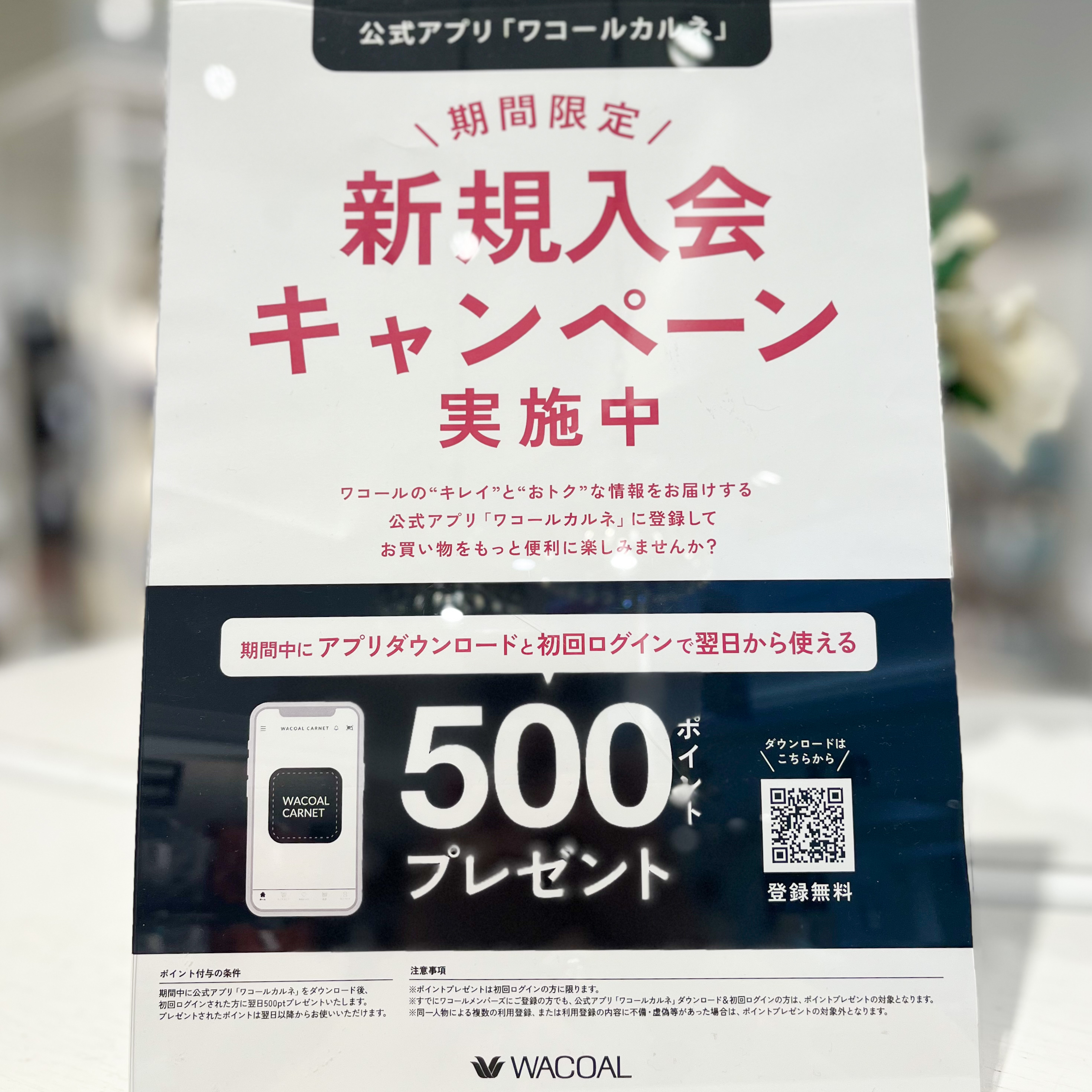 【期間限定】新規入会キャンペーン