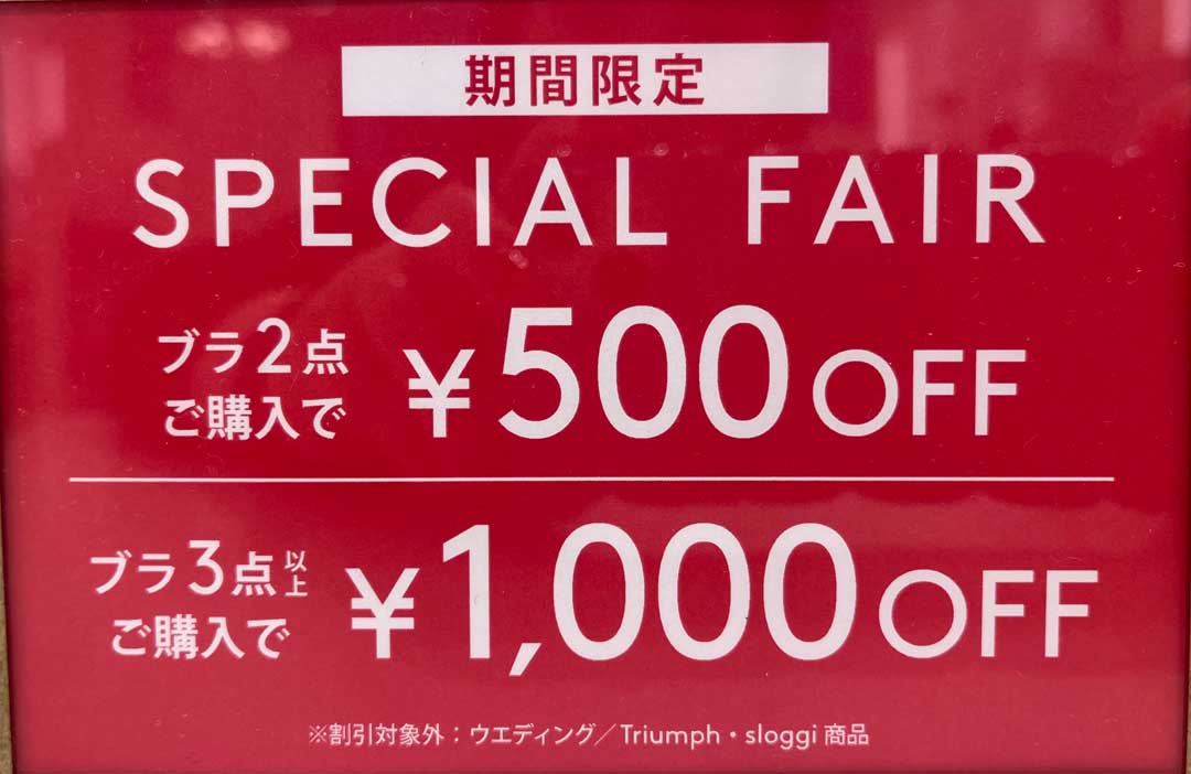ブラ2点ご購入で500円OFF、3点ご購入で1,000円OFF