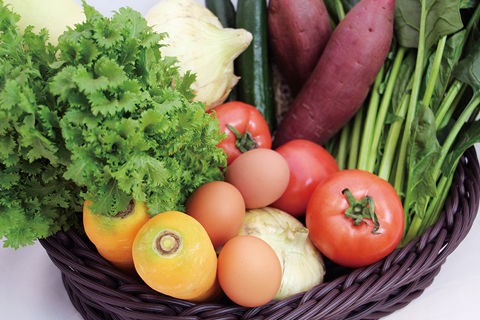 [1F Nogata Marche]　わくわく広場