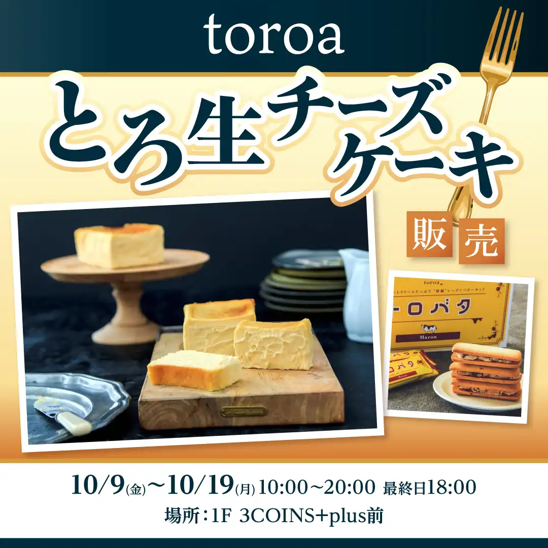 toroa とろ生チーズケーキ販売