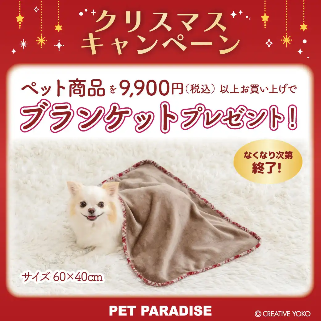 ペットパラダイス☆Xmasキャンペーン