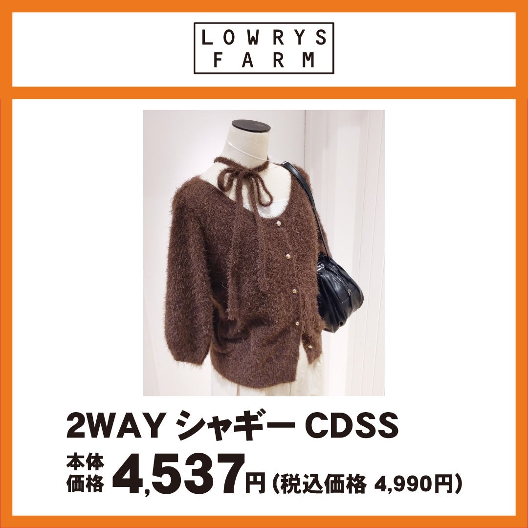 2WAY シャギーCDSS