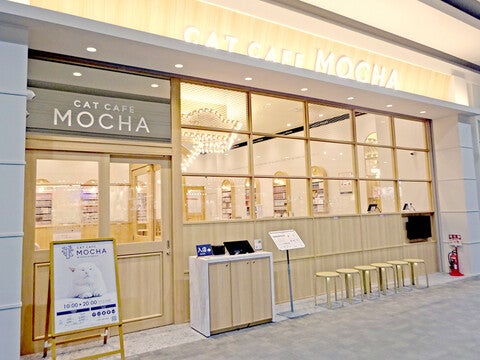 ショップ｜猫カフェMOCHA（猫カフェモカ）｜イオンモール水戸内原