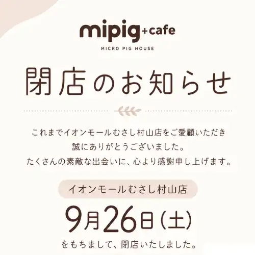 mipig cafe閉店のお知らせ