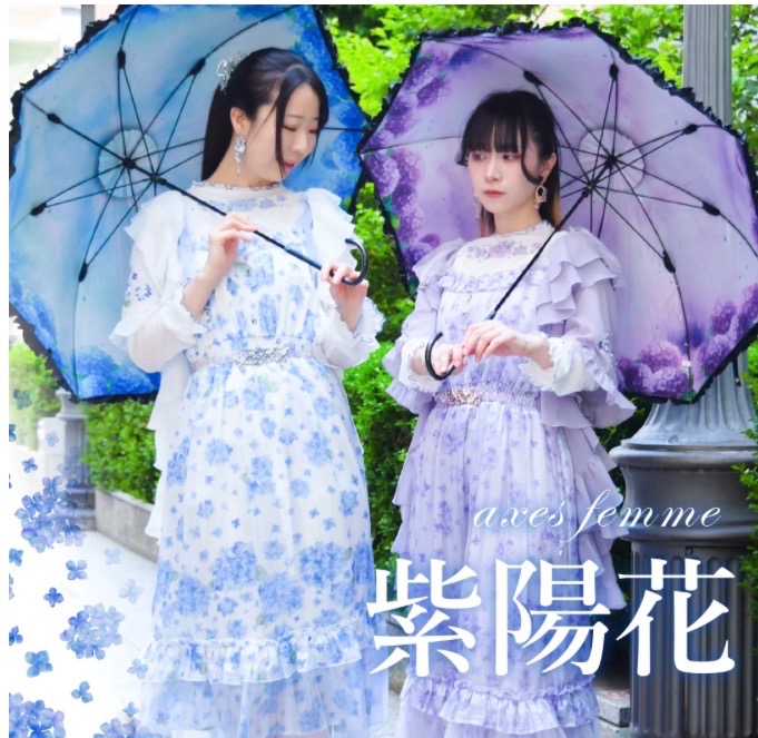 紫陽花シリーズ入荷♪
