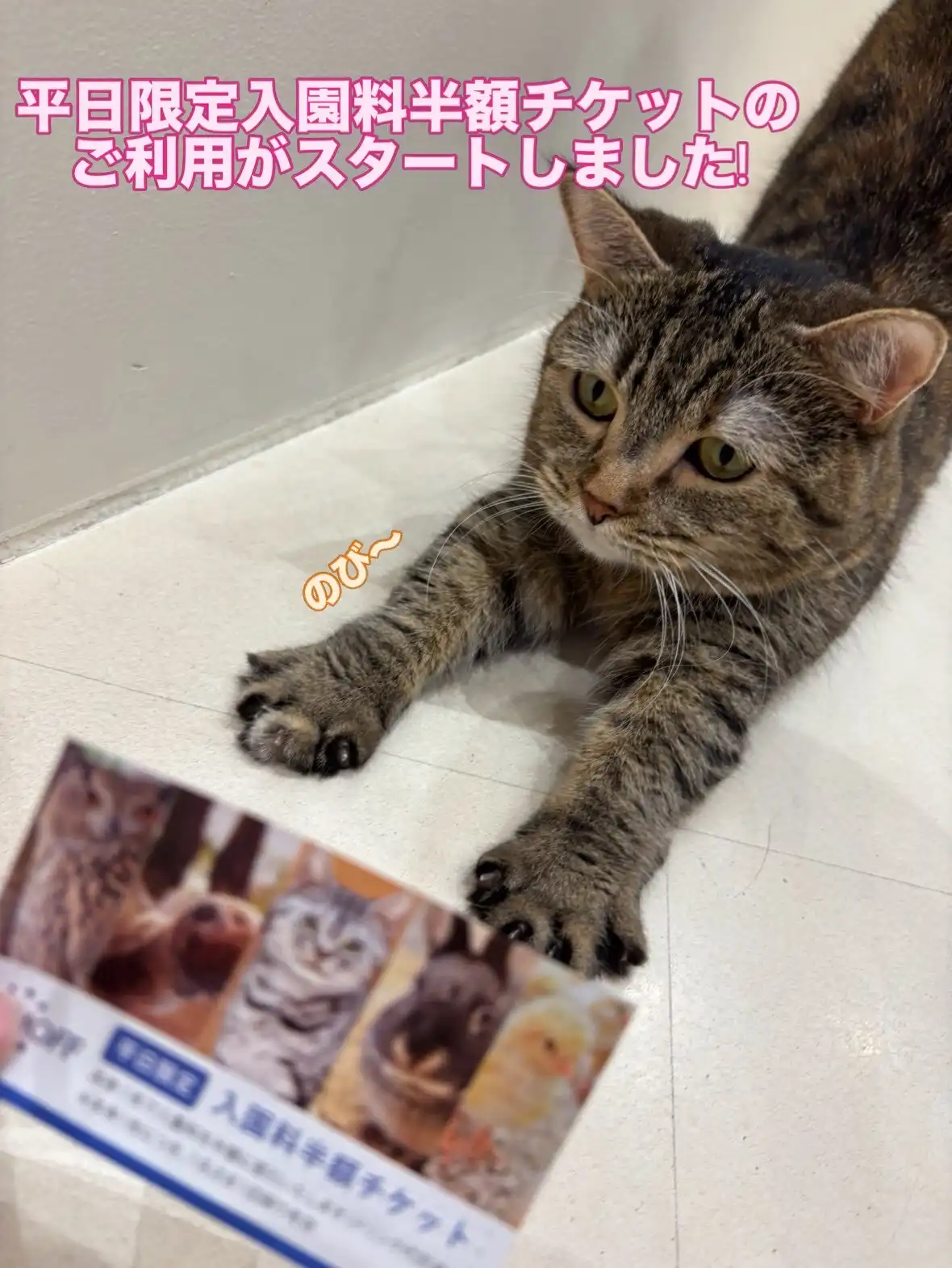 平日限定入園料半額チケットご利用開始！