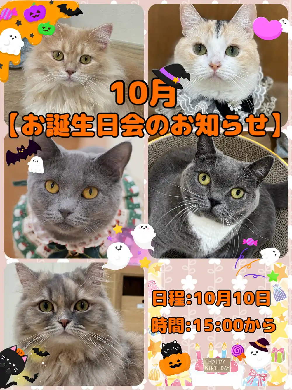 【10月のネコちゃんお誕生日会開催】