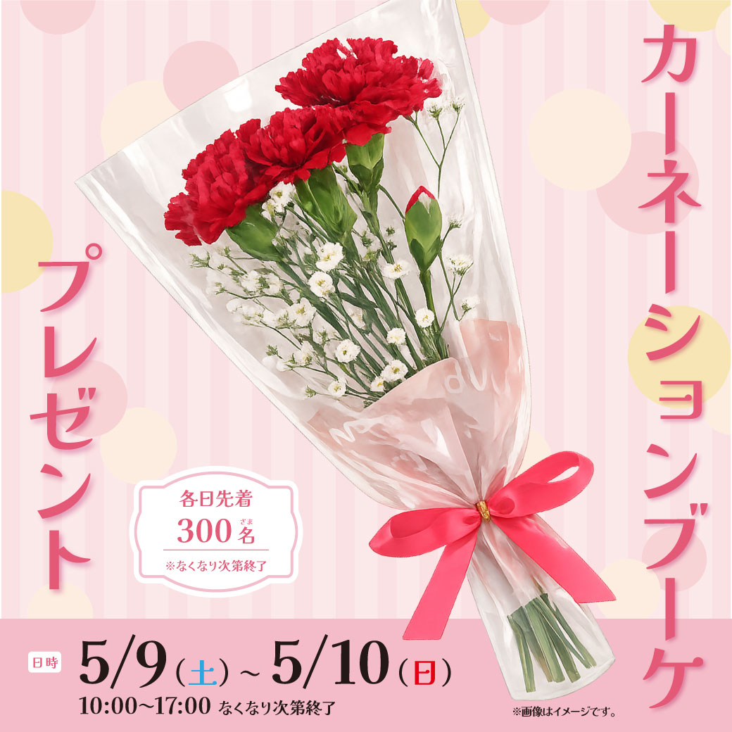 カーネーションブーケプレゼント