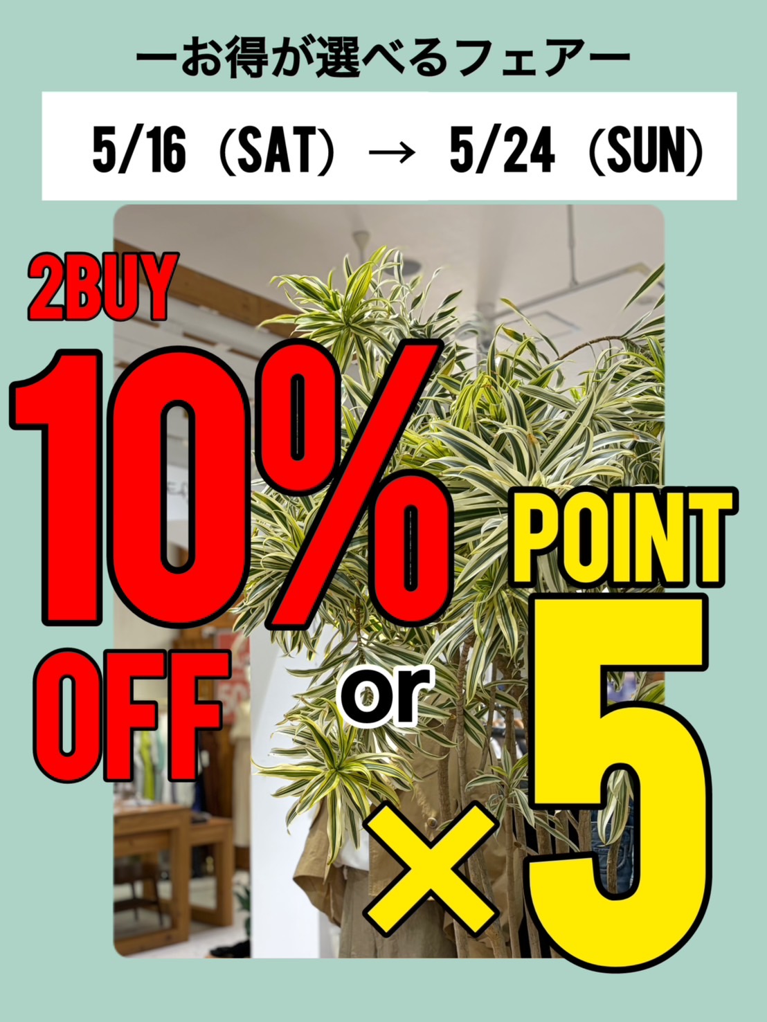 2buy10%OFF or POINT5倍