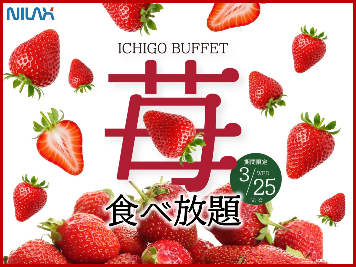 ＼「苺づくし」の祭典！苺食べ放題コースが登場！／