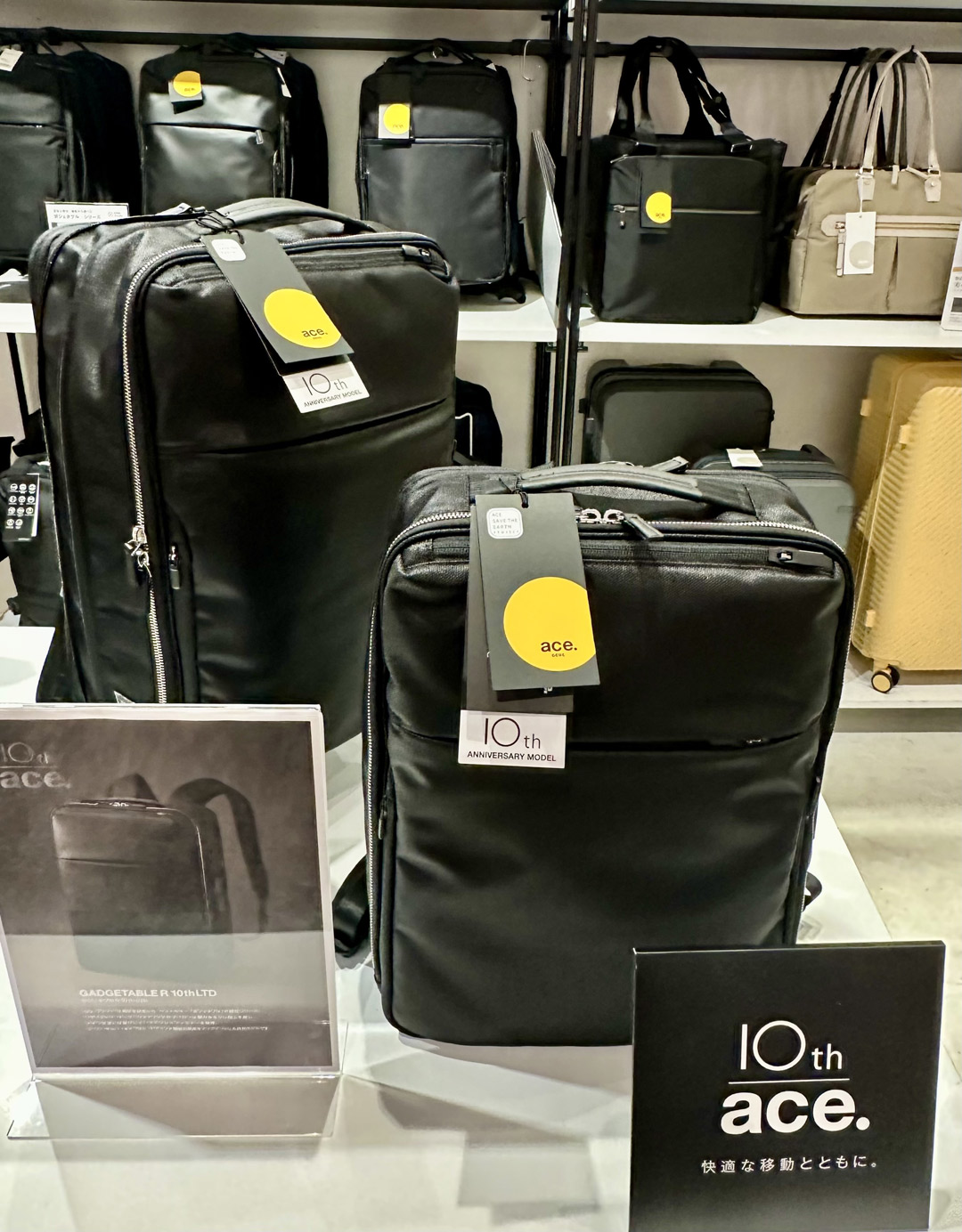 【ACE Bags&Luggage】限定商品のお知らせ